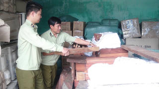 Xe tải chở hơn 1,7 tấn gỗ hương, gỗ trắc