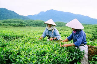 Bên những mái ấm tình người