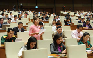 Ngăn chặn lợi ích nhóm, sân sau