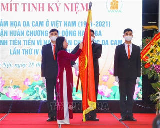 Vượt lên nỗi đau da cam