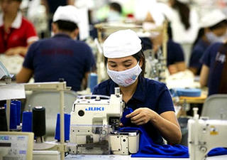 TP HCM thanh tra 400 doanh nghiệp trốn, nợ BHXH