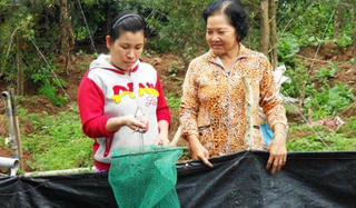Đồng Nai: Hỗ trợ 45 tỷ đồng cho hội viên phụ nữ vay làm kinh tế gia đình