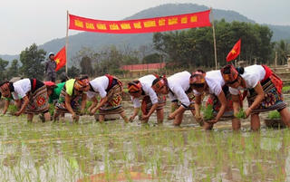 Tưng bừng mở hội xuống đồng
