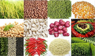 Gỡ khó xuất khẩu nông sản
