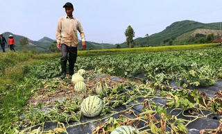 Làm tốt, sẽ không cần giải cứu