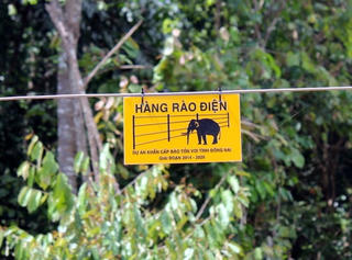 Đồng Nai dựng 50 km hàng rào điện ngăn voi rừng tấn công dân