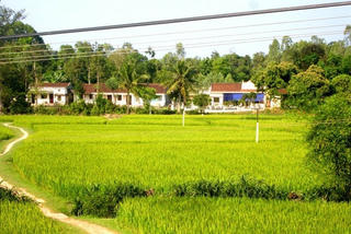 Hưởng ứng Chiến dịch Làm cho thế giới sạch hơn