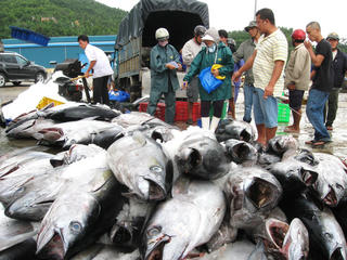 Xóa thẻ vàng