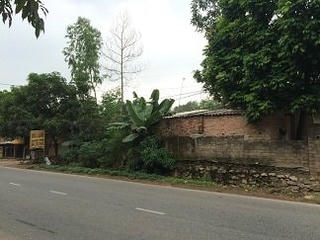 Sai phạm lớn, xử lý nhẹ tênh