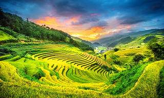 Mù Cang Chải trong top 10 vùng núi đẹp nhất thế giới