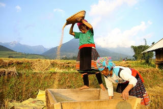 Nâng mức hỗ trợ khuyến khích đồng bào dân tộc vùng Tây Bắc tham gia BHXH, BHYT