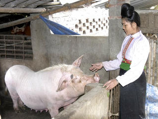 Những chính sách có hiệu lực trong tháng 10