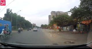 [VIDEO] Tình huống vạ lây do chó thả rông suýt gây tai nạn người đi đường
