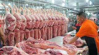 Nhập khẩu thịt lợn vẫn tăng cao