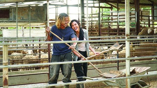 Đạo diễn Lưu Trọng Ninh tái ngộ với Cát đỏ