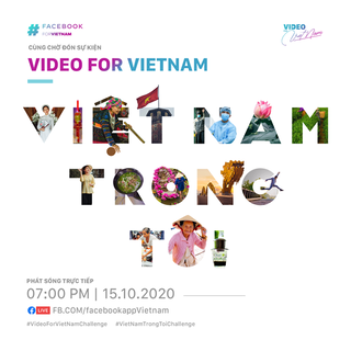 Việt Nam trong tôi