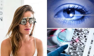 Dùng liệu pháp gene lập trình các tế bào trong võng mạc chữa bệnh mù lòa