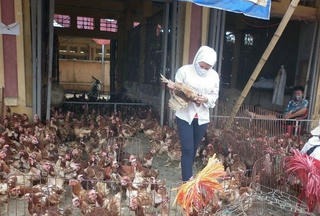 Ngăn chặn các chủng virus cúm