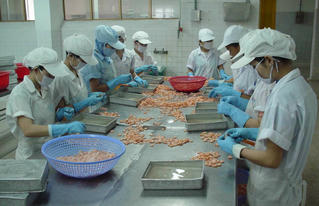 Thủy sản lại gặp khó vì kiểm dịch