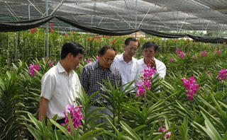 Hướng đi mới  cho nông sản Việt