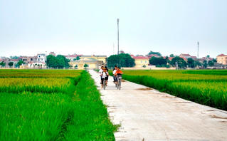 Vĩnh Yên (Vĩnh Phúc): Tạo đà cho nông thôn mới