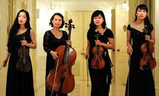 Hòa nhạc thính phòng với tứ tấu  đàn dây Musina Amore
