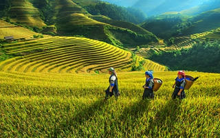 Liên kết phát triển du lịch Tây Bắc
