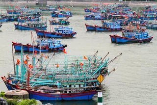 Hải Phòng; Yêu cầu các phương tiện hoạt động trên biển về nơi tránh trú bão