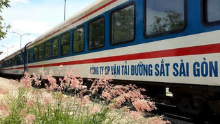 Tăng thêm 2 đoàn tàu khách tuyến Sài Gòn-Nha Trang từ 15/7