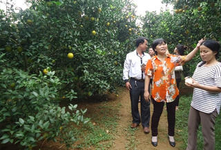 Người đồng hành với bà con nông dân