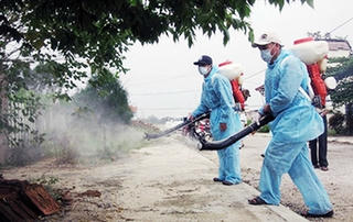 Nguy cơ bùng phát dịch sốt xuất huyết tại Thanh Hóa