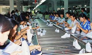 Thanh tra, kiểm tra nợ đọng bảo hiểm xã hội