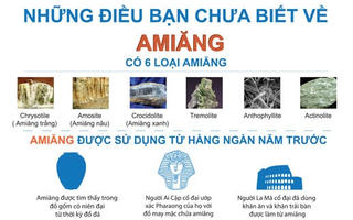 Infographic - Những điều bạn chưa biết về amiang