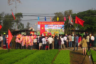 Làng rau vào lễ hội Cầu Bông