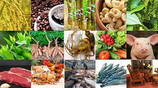 15 sản phẩm nông nghiệp được đề xuất là sản phẩm chủ lực quốc gia