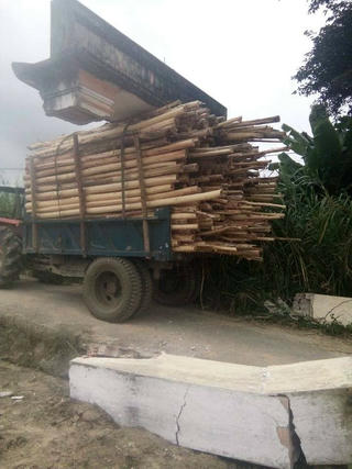 Xe máy cày chở keo ‘cõng cổng làng’