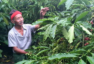 Những trụ cột của buôn làng