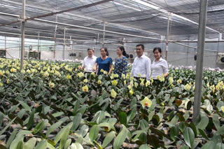 Bắc Ninh: Giá trị sản xuất của làng nghề đạt hơn 8% GDP