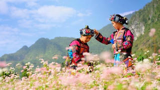 Hà Giang: Phát triển du lịch dựa trên các di sản văn hóa