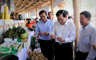 Duyên hải Nam Trung Bộ và Tây Nguyên: Khởi sắc Chương trình MTQG xây dựng NTM