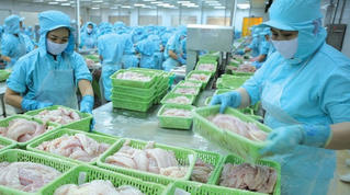 Vẫn chưa hết rào cản giấy phép con