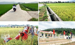 Yên Bái: Hội Nông dân cơ sở ổn định sau sáp nhập