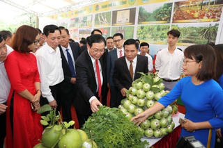Thái Nguyên coi trọng sản xuất để phát triển nông thôn