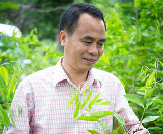 Người phụng sự cây trầm hương Việt Nam