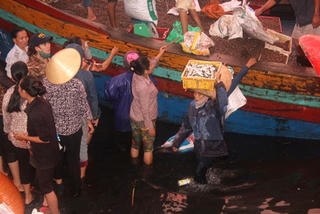 Bóng hồng nơi cửa bể