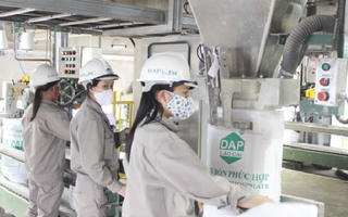 Nâng sức cạnh tranh cho doanh nghiệp nhập khẩu phân bón