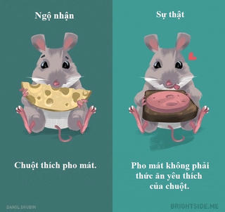 [ẢNH] Những lầm tưởng phổ biến về động vật