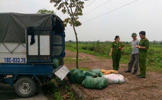 Bắt 6 tạ nội tạng động vật ‘trôi nổi’ ở Thành Nam