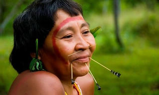Sống trong rừng sâu
