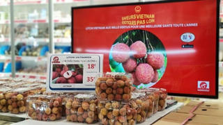 Vải thiều Việt 'phủ sóng' các kênh siêu thị tại Pháp